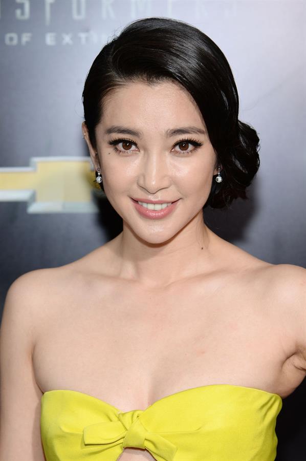 Li Bingbing