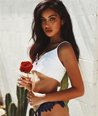 Cindy Kimberly