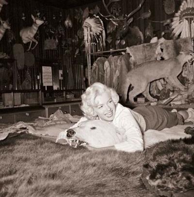 Marilyn Monroe