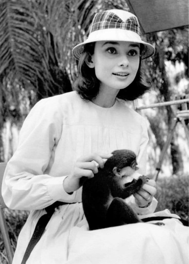 audrey-hepburn