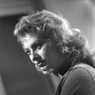Sophia Loren