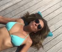 Elizabeth Hurley in a bikini