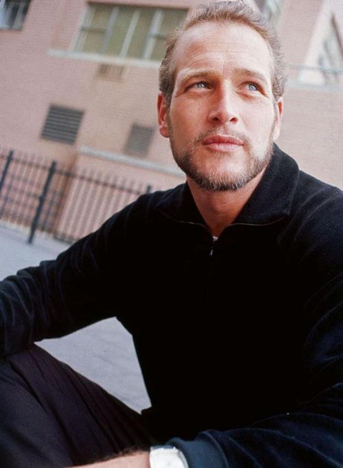Paul Newman