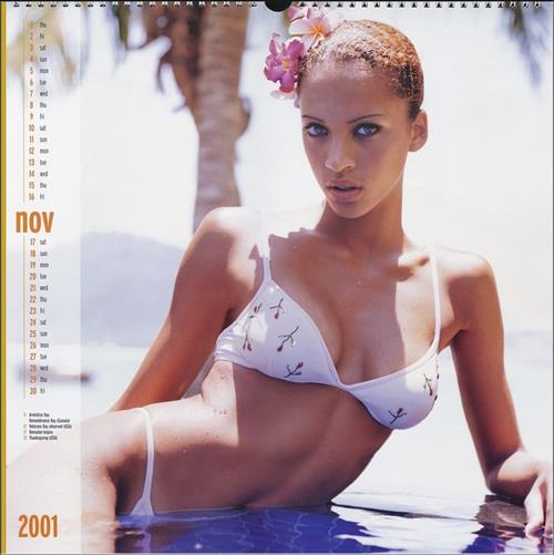 Noémie Lenoir in a bikini
