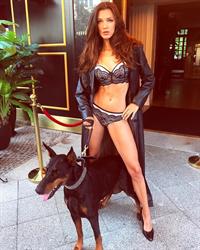 Anna-Christina Schwartz in lingerie