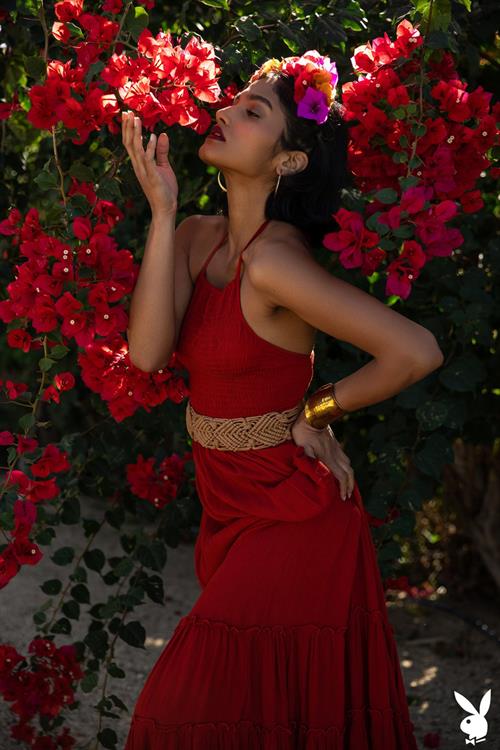 Angel Constance in the Big Garden