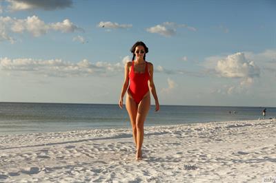 Dita Vetone Busty Beach Babe