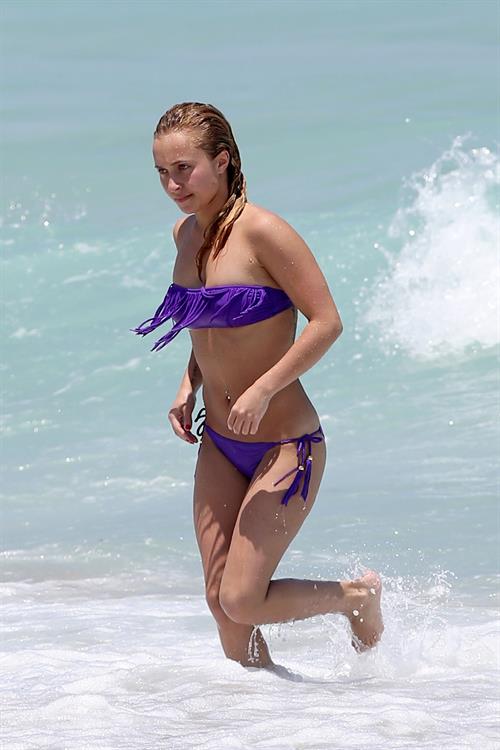Hayden Panettiere in a bikini