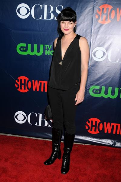 Pauley Perrette