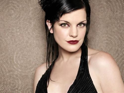 Pauley Perrette