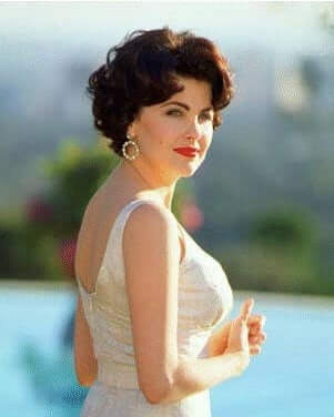 Sherilyn Fenn