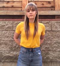 Courtney Taylor Burness