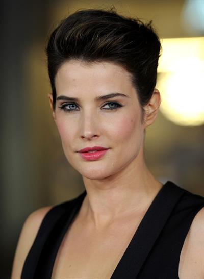 Cobie Smulders