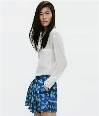 Liu Wen