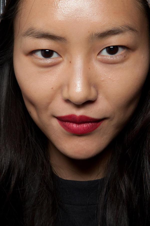 Liu Wen