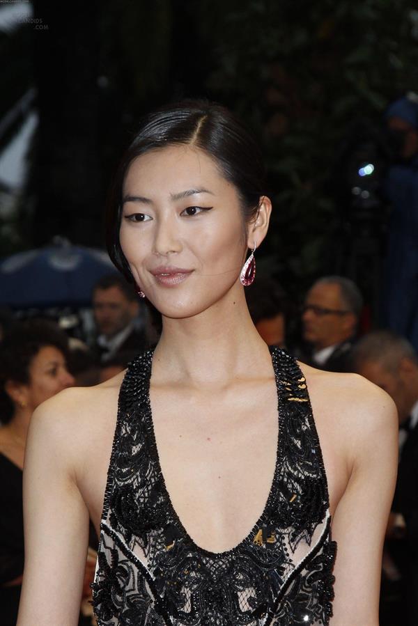 Liu Wen