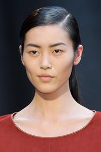 Liu Wen