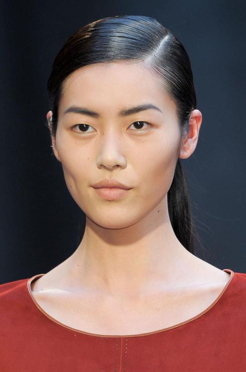 Liu Wen