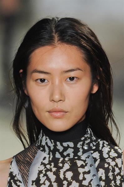 Liu Wen