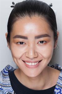 Liu Wen