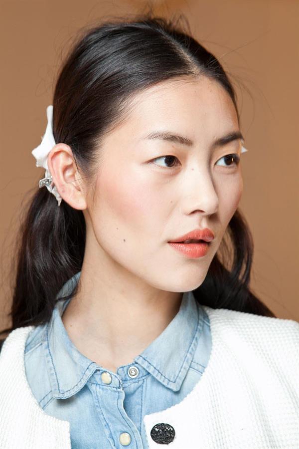 Liu Wen