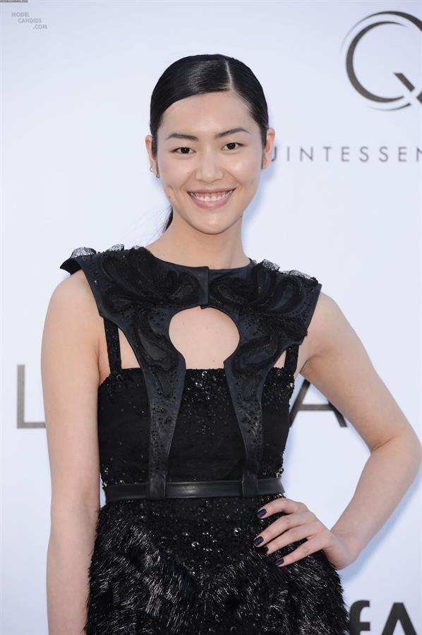 Liu Wen