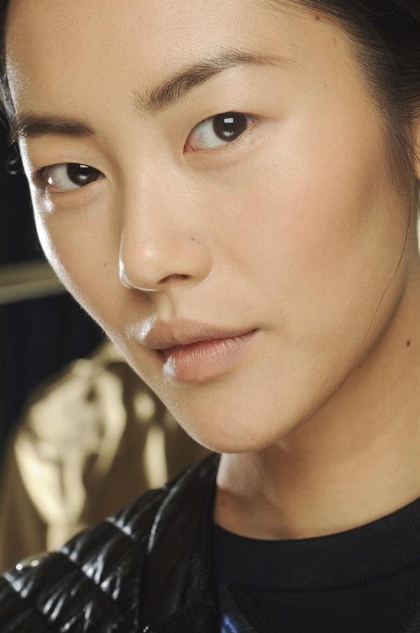 Liu Wen