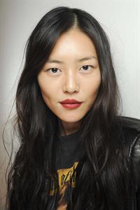 Liu Wen