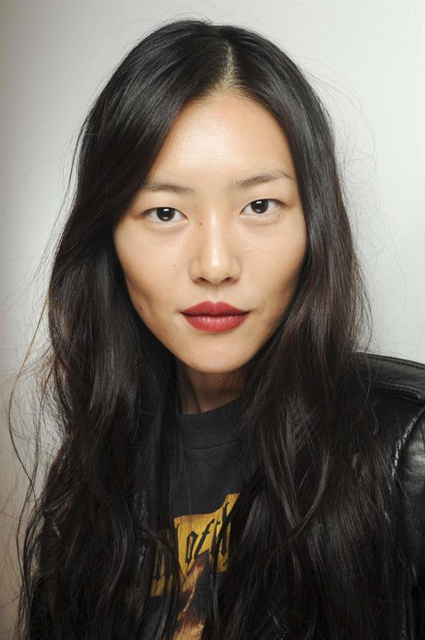 Liu Wen