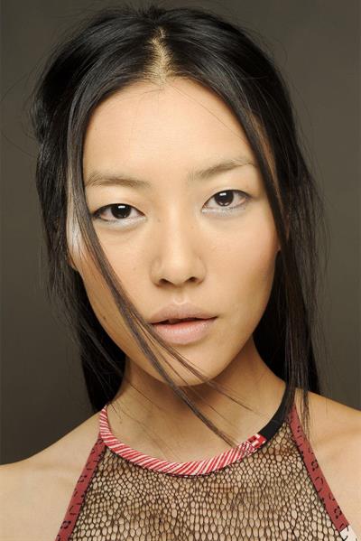 Liu Wen