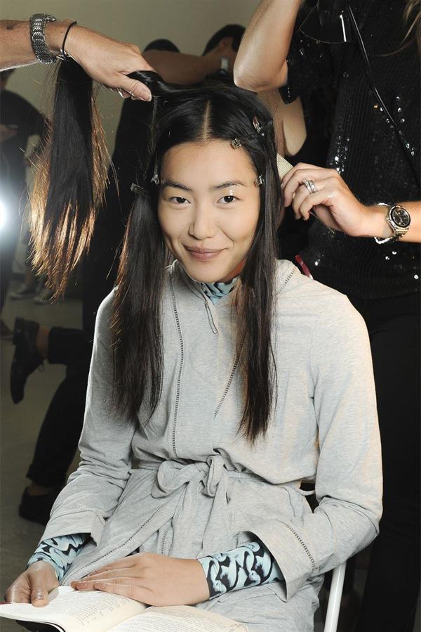 Liu Wen