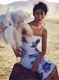 Liu Wen