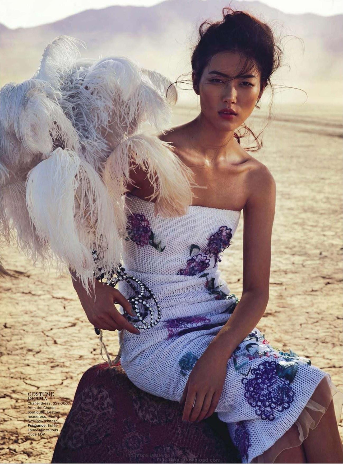 Liu Wen
