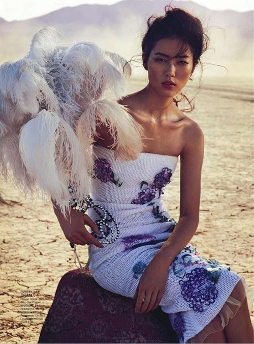Liu Wen