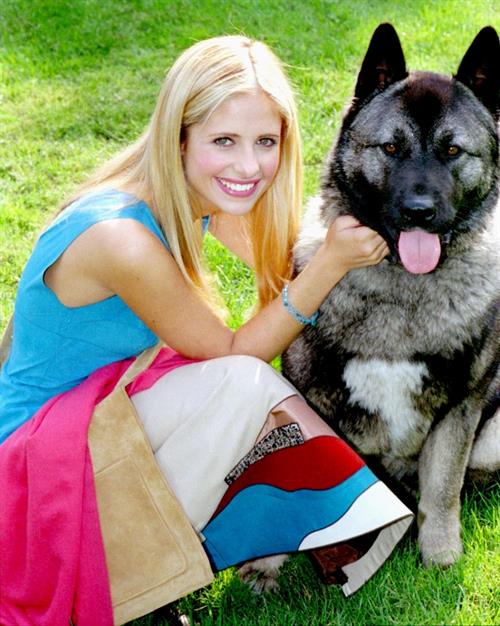 Sarah Michelle Gellar