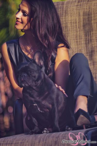 Denise Milani Photoset - Albie2