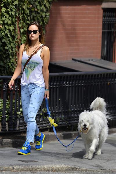 Olivia Wilde walking her dog in New York City - April 9, 2013 