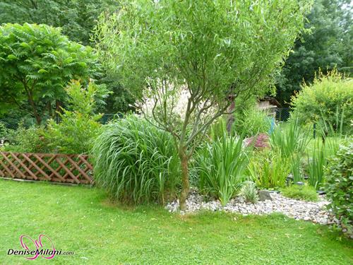 Denise Milani Photoset - Czech