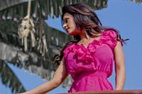 Denise Milani Photoset - OutInPink