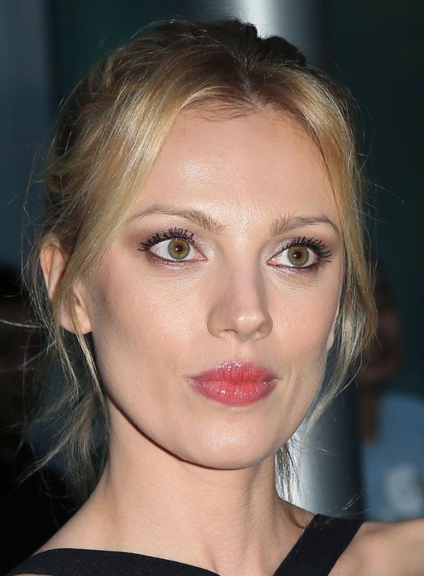 Bar Paly