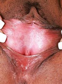 Hadiya Honey gets nude for ATKingdom.com