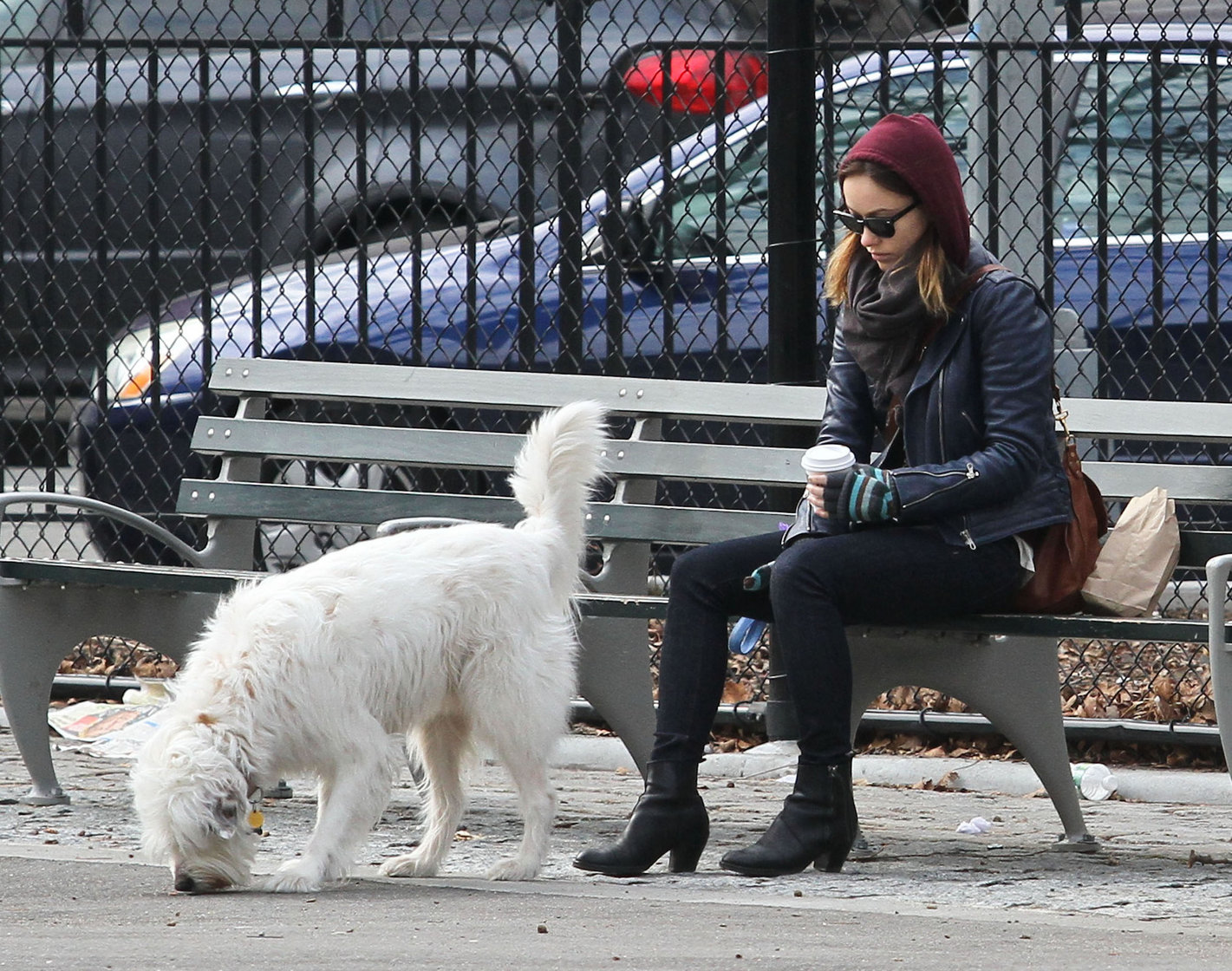 Olivia Wilde out walking her dog in New York City - February 16, 2013 