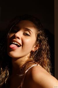 Karoll Bolivar Colombian Kittens