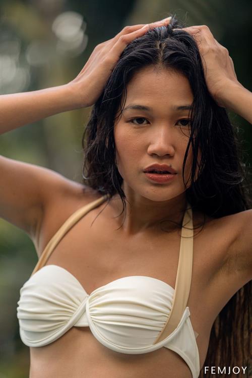 Kloyali Petite Exotic Newcomer