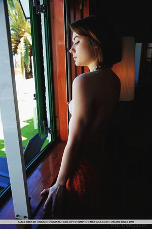 Alice Shea Nude Pictures Favorite Position