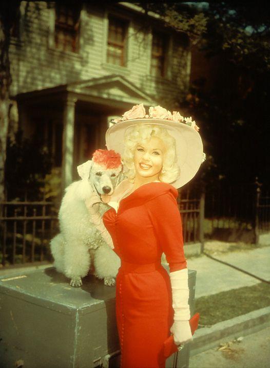 Jayne Mansfield