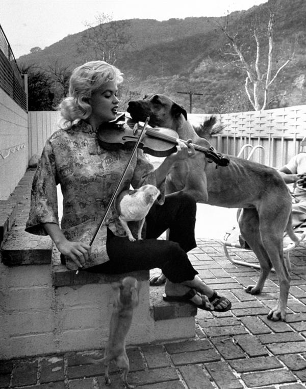 Jayne Mansfield