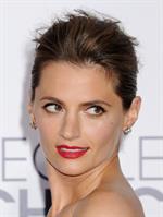 Stana Katic