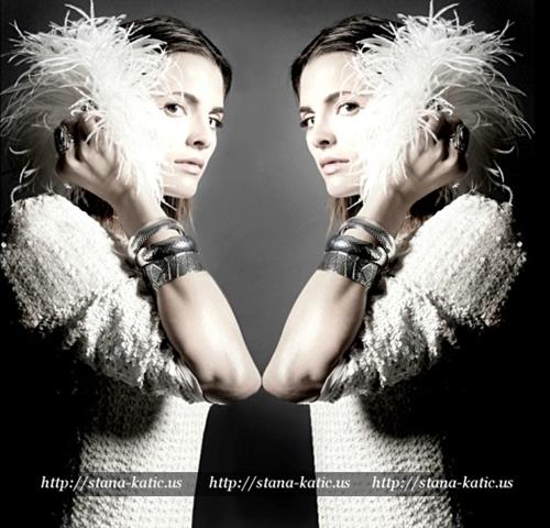 Stana Katic