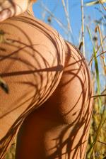 Uriana - Dry Branches